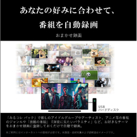 REGZA 65E350M 65V型4Kチューナー内蔵4K対応液晶テレビ ECモデル REGZA 65E350M 65V型4Kチューナー内蔵4K対応液晶テレビ ECモデル