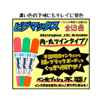 サクラクレパス FC70828-ZPK-T12 ピグマックスツイン12色セット