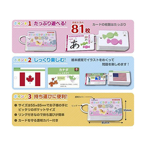 アポロ社 08-303 ポケットピクチュアカード こっきずかん 08303ﾎﾟｹﾂﾄﾋﾟｸﾁﾕｱｺﾂｷ-イメージ2