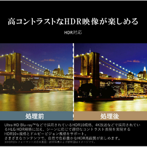 REGZA 55V型4Kチューナー内蔵4K対応液晶テレビ ECモデル E350Mシリーズ 55E350M-イメージ11