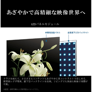 TOSHIBA/REGZA 50V型4Kチューナー内蔵4K対応液晶テレビ ECモデル E350Mシリーズ 50E350M-イメージ8