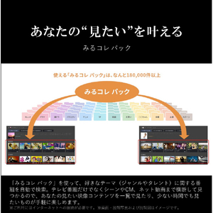 REGZA 43V型4Kチューナー内蔵4K対応液晶テレビ ECモデル E350Mシリーズ 43E350M-イメージ16