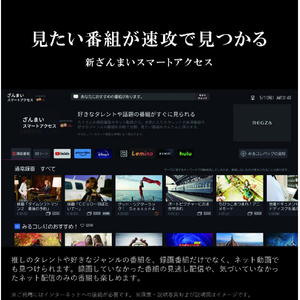 REGZA 43V型4Kチューナー内蔵4K対応液晶テレビ ECモデル E350Mシリーズ 43E350M-イメージ17
