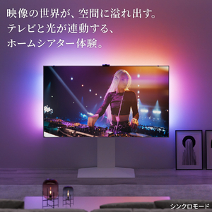 ナカムラ シンクロビジュアルライト Mサイズ(55～60インチ用) H4C-55B-イメージ2