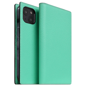 SLG Design iPhone 14用Neon Full Grain Leather Diary Case ティール SD24305I14TL-イメージ1