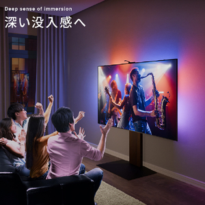 ナカムラ シンクロビジュアルライト Lサイズ(65～70インチ用) H4C-65B-イメージ7
