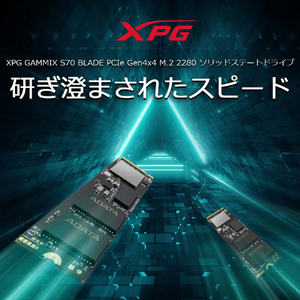 XPG M．2 2280 SSD(2TB) S70 AGAMMIXS70B2TCS-イメージ2