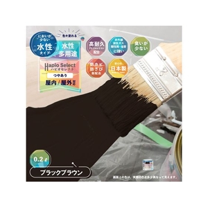 カンペハピオ ハピオセレクト ブラックブラウン 0.2L FCB472M-イメージ2