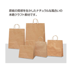 タカ印 手提げバッグ 未晒無地 特大 10枚 FC43218-50-6401-イメージ5