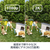 Amazon Ring Outdoor Cam Plus Battery (リング アウトドアカム プラス バッテリーモデル) ホワイト B0D4RM82BN-イメージ3