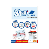 ヒサゴ マルチプリンタ帳票 A4 ブルー 2面 4穴 100枚 FCD546P-BP2041