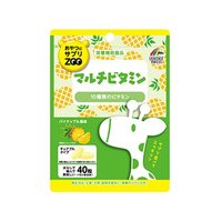 ユニマットリケン おやつにサプリZOO マルチビタミン 40粒 FCR6226