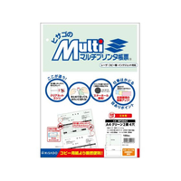 ヒサゴ マルチプリンタ帳票 A4 グリーン 2面 4穴 100枚 FCD548P-BP2042