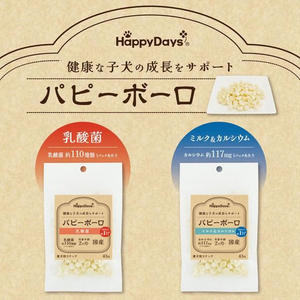 ペットプロジャパン HappyDays パピーボーロ 乳酸菌 45g FC160PW-イメージ4