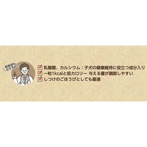 ペットプロジャパン HappyDays パピーボーロ 乳酸菌 45g FC160PW-イメージ5