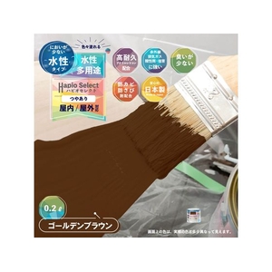 カンペハピオ ハピオセレクト ゴールデンブラウン 0.2L FCB476M-イメージ2