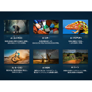 TCL 55V型4Kチューナー内蔵4K対応液晶テレビ e angle select 55C69K-イメージ14