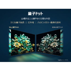 TCL 55V型4Kチューナー内蔵4K対応液晶テレビ e angle select 55C69K-イメージ15