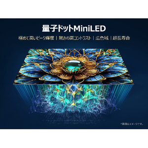 TCL 55V型4Kチューナー内蔵4K対応液晶テレビ e angle select 55C69K-イメージ8