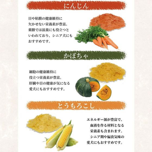 ペットプロジャパン 野菜でおふ にんじん味 25g FC162PW-イメージ6