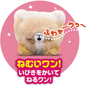 アガツマ ワンだきみは!? ﾜﾝﾀﾞｷﾐﾊ-イメージ4