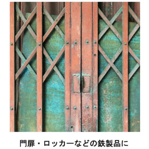 サンデーペイント アクリルラッカースプレー 茶 300mL FC140SN-#20019M-イメージ3