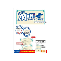 ヒサゴ マルチプリンタ帳票 A4 地紋 2面 100枚 FCD553P-BP2056