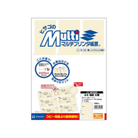 ヒサゴ マルチプリンタ帳票 A4 地紋 6面 100枚 FCD554P-BP2059