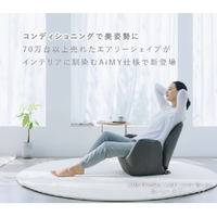 ツカモトエイム AIM-FN056-NV 骨盤矯正フィットネスチェア
