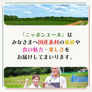 伊藤園 ニッポンエール 国産かんきつトリオ 400g FCG469V-イメージ5