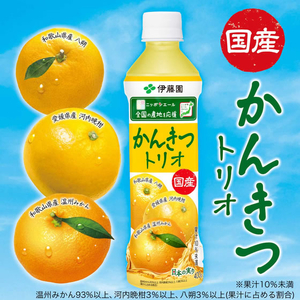 伊藤園 ニッポンエール 国産かんきつトリオ 400g×24本 FCG470V-イメージ2