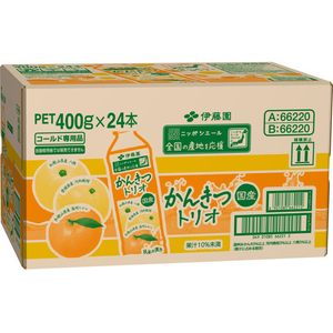 伊藤園 ニッポンエール 国産かんきつトリオ 400g×24本 FCG470V-イメージ7