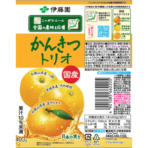 伊藤園 ニッポンエール 国産かんきつトリオ 400g×24本 FCG470V-イメージ8