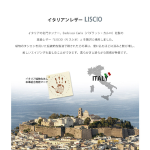 ABBI SIGNATURE iPhone 16 Pro用LISCIO イタリアンレザー MagSafe対応バックカバー ネイビー ABS27319I16PR-イメージ7