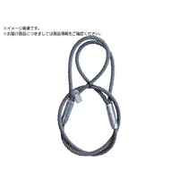 DAIKO/高強度6×37 かがやき 18mm 3m KG-1830 FC420ZL-3544457