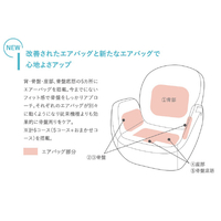 ツカモトエイム AIM-FN056-BR 骨盤矯正フィットネスチェア