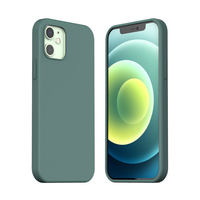 araree iPhone 12 mini用ケース Typo Skin パイングリーン AR20321I12MN