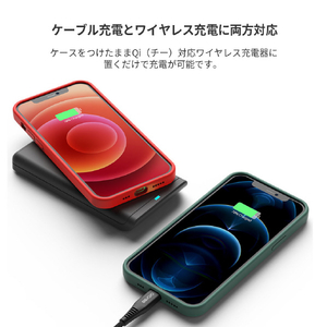 araree iPhone 12 mini用ケース Typo Skin パイングリーン AR20321I12MN-イメージ10
