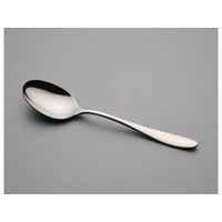 荒沢製作所 18-10 ジェンヌ No.5800 デザートスプーン(ディナー) FC521LM-4634700