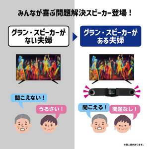 ドウシシャ グラン・スピーカー GSSP1K-イメージ4