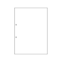 ヒサゴ マルチプリンタ帳票(エコノミープライス)A4 白紙 2 2500枚 FCD567P-BPE2001