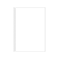 ヒサゴ マルチプリンタ帳票(エコノミープライス)A4 白紙 30 2500枚 FCD568P-BPE2049