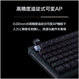 プリンストン ULTRA PLUS CNCフルアルミケース 75% 磁気無接点スイッチ搭載 キーボード ブラック UP-MKGA75MTLC-RT-J/B-イメージ4