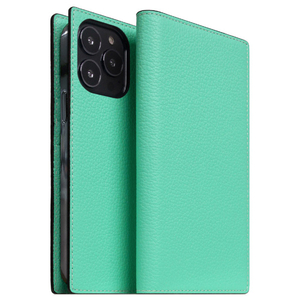 SLG Design iPhone 14 Pro用Neon Full Grain Leather Diary Case ティール SD24325I14PTL-イメージ1