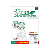 ヒサゴ マルチプリンタ帳票 A4 白紙 2穴 100枚 FCD569P-FSC2001