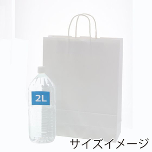 ヘイコー 25チャームバッグ 2才 晒白無地 50枚 FCF466N-3235801-イメージ5