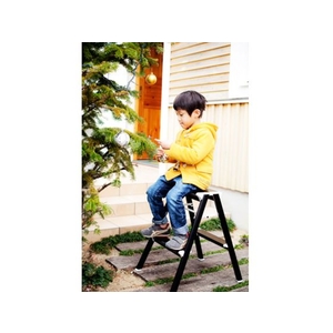 長谷川工業 踏み台 強力型 60cm ブラック FC027HD-8586413-イメージ3