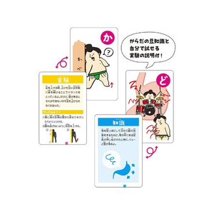 アーテック からだの不思議かるた FC732NK-9529-イメージ3