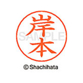 シヤチハタ ネームペン用ネーム シルバー 既製 岸本 FC46665-X-GPS-0894