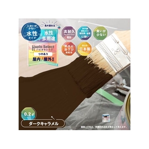 カンペハピオ ハピオセレクト ダークキャラメル 0.2L FCB490M-イメージ2